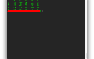 cat_screenshot_bash